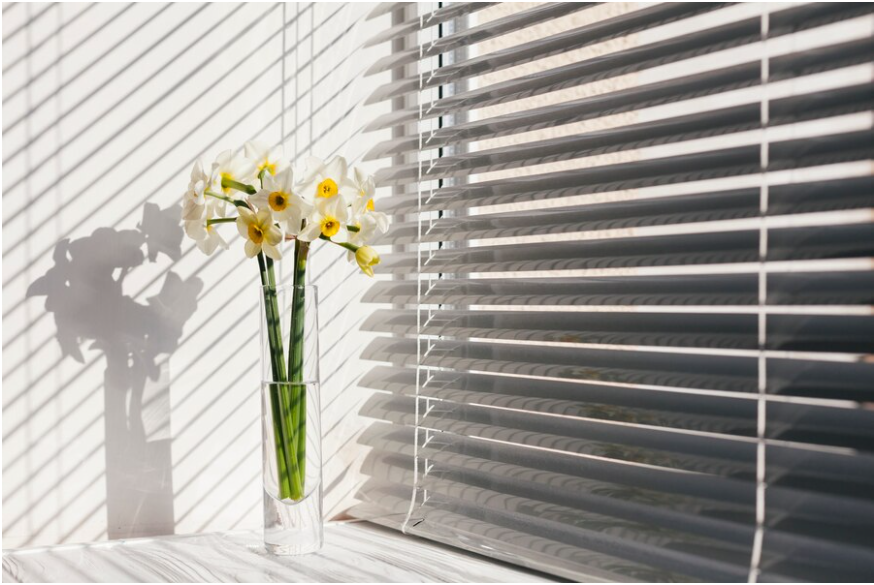 plantation shutters