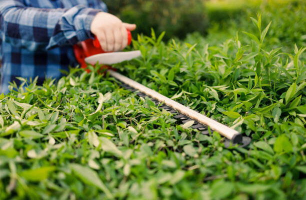 commercial weed control