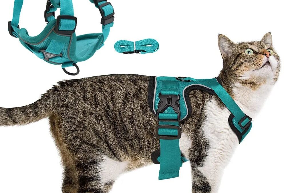 escape proof cat harness