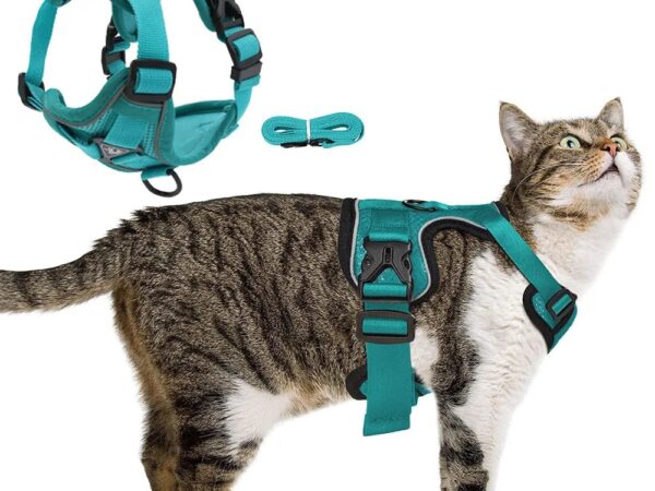 escape proof cat harness