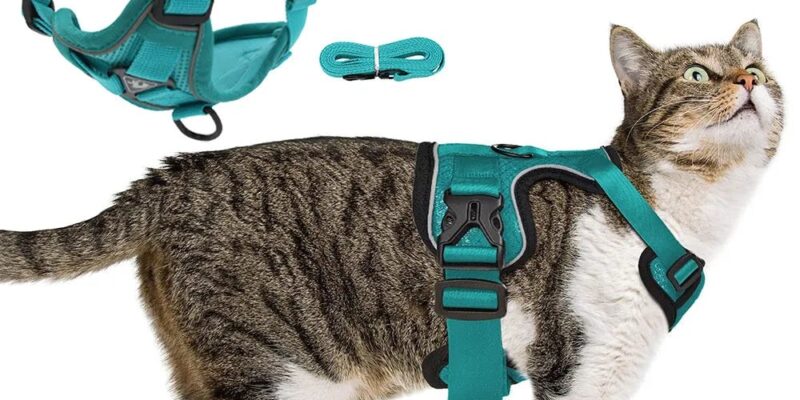 escape proof cat harness