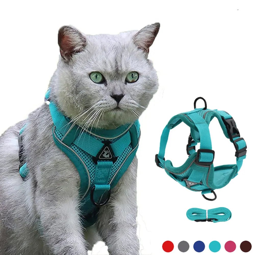 escape proof cat harness